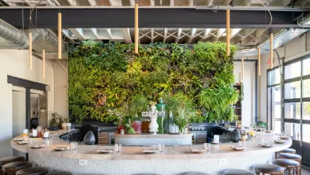 The plant-wall bar at Colita in Minneapolis