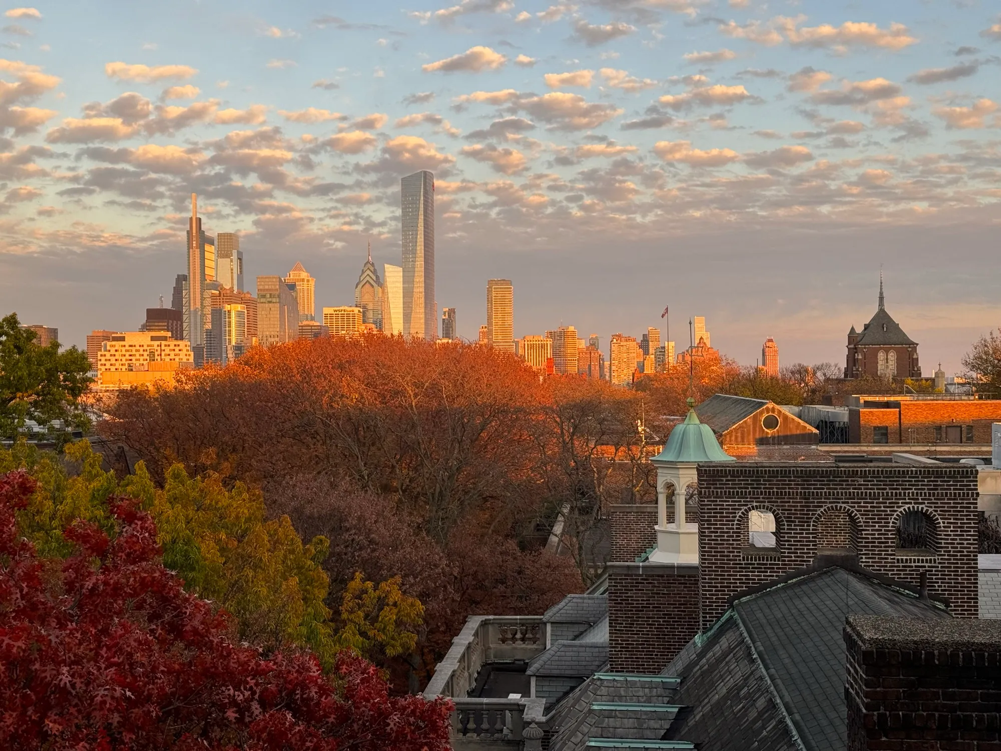 The Philadelphia skyline at sunset above autumn trees