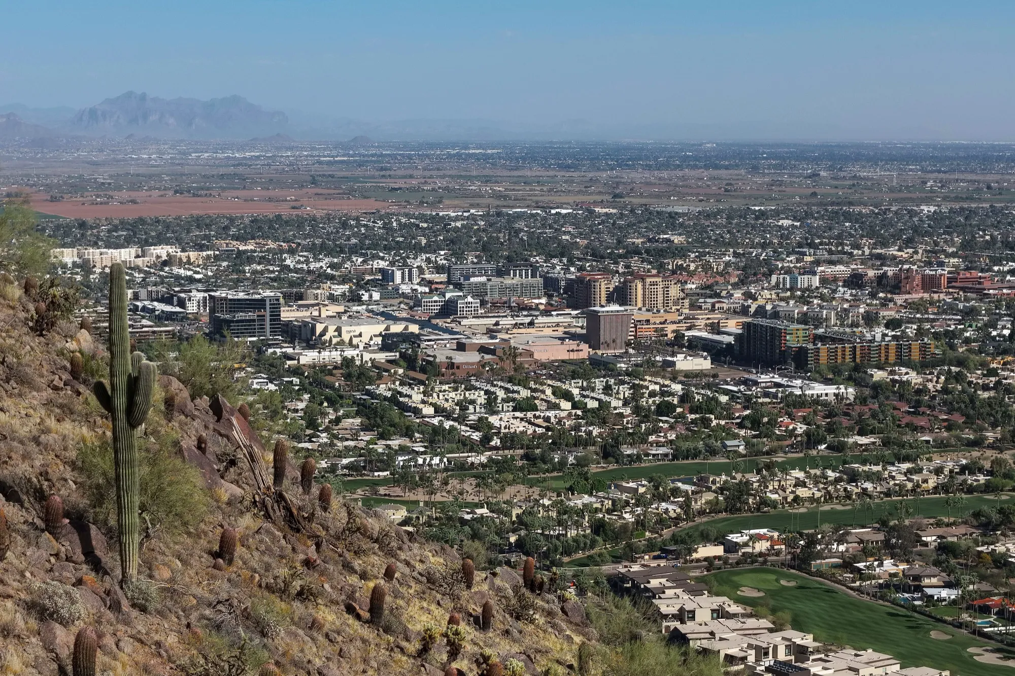 Scottsdale and the Phoenix valley seen from a desert hillside with a saguaro cactus